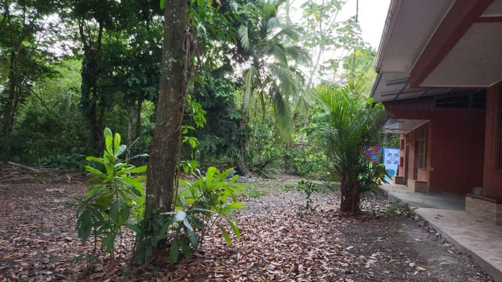 Hostel Manuel Antonio Park Jungle Eksteriør bilde